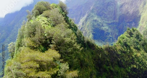 Birds flying above a Jungle Mountain Peak