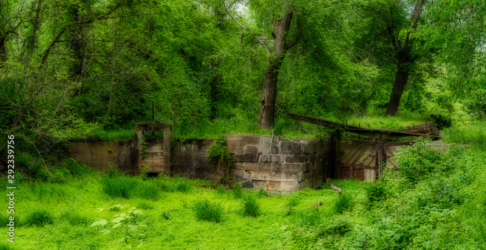 Abandoned lock surrounded by trees in the forest Abandoned lock surrounded by trees in the forest