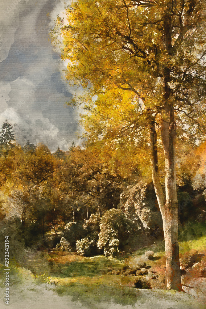 Digital watercolor painting of Stunning vibrant Autumn forest landscape
