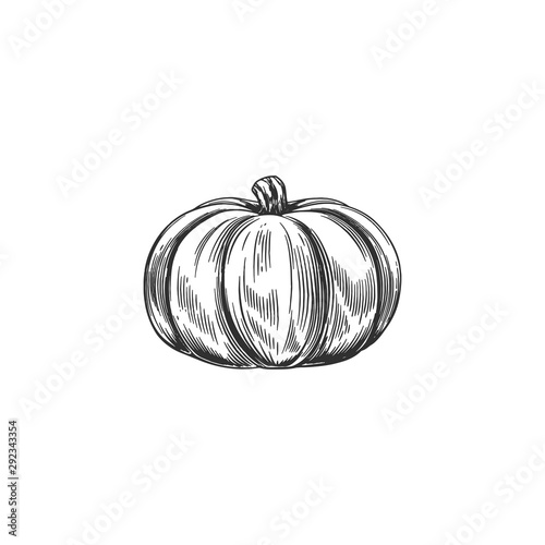 Stylish flat vector halloween pumpkin icon. Vector illustration of pumpkin ja...