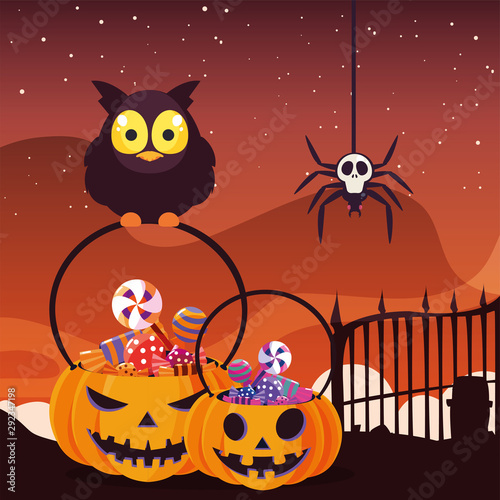 barn owl with candy of halloween in cemetery scene
