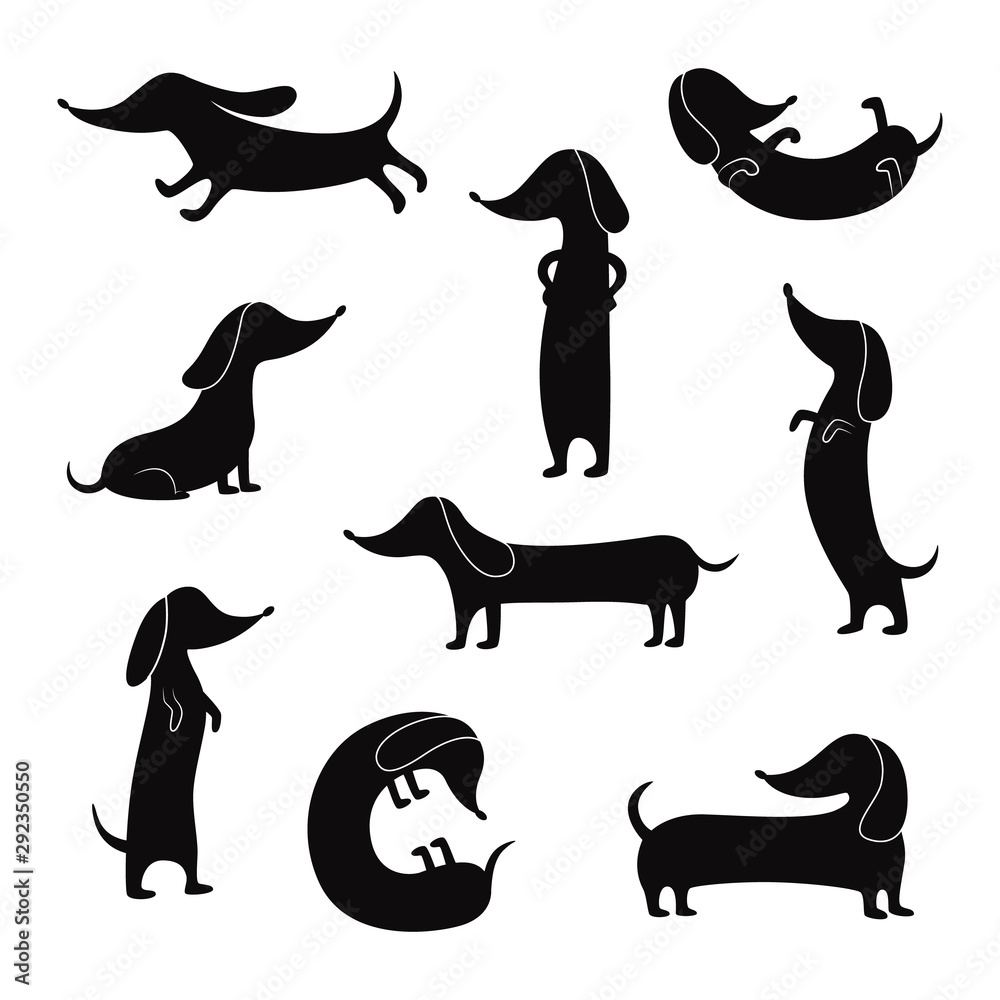 Black silhouettes of dachshunds dogs poses set of vector illustrations isolated.