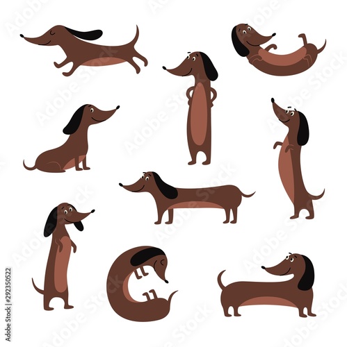 Cute dachshund dog isolated set - cartoon pet sitting, standing and lying