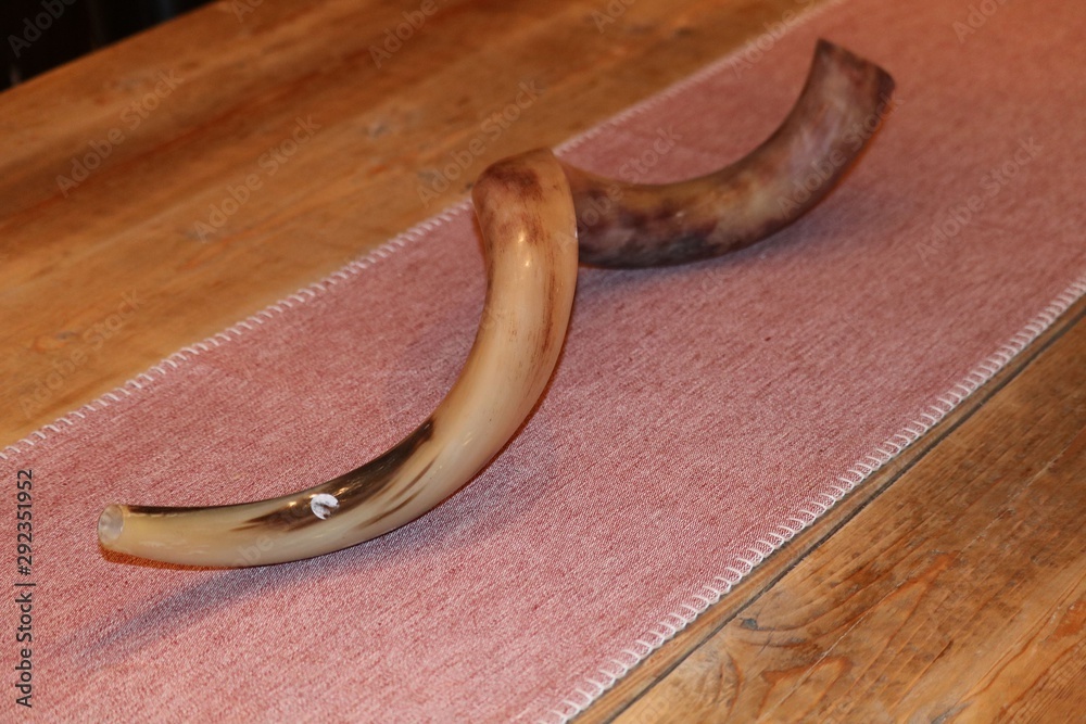 Shofar for Jewish Holidays Shofar for Jewish Holidays