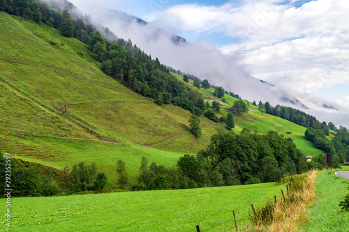Alpine valley and pasture with green grass and mountains in the fog, Austrian © natagolubnycha