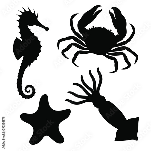 Sea animals icons set. Seahorse, starfish, crab and squid graphic signs isolated on white background. Sea life symbols. Vector illustration
