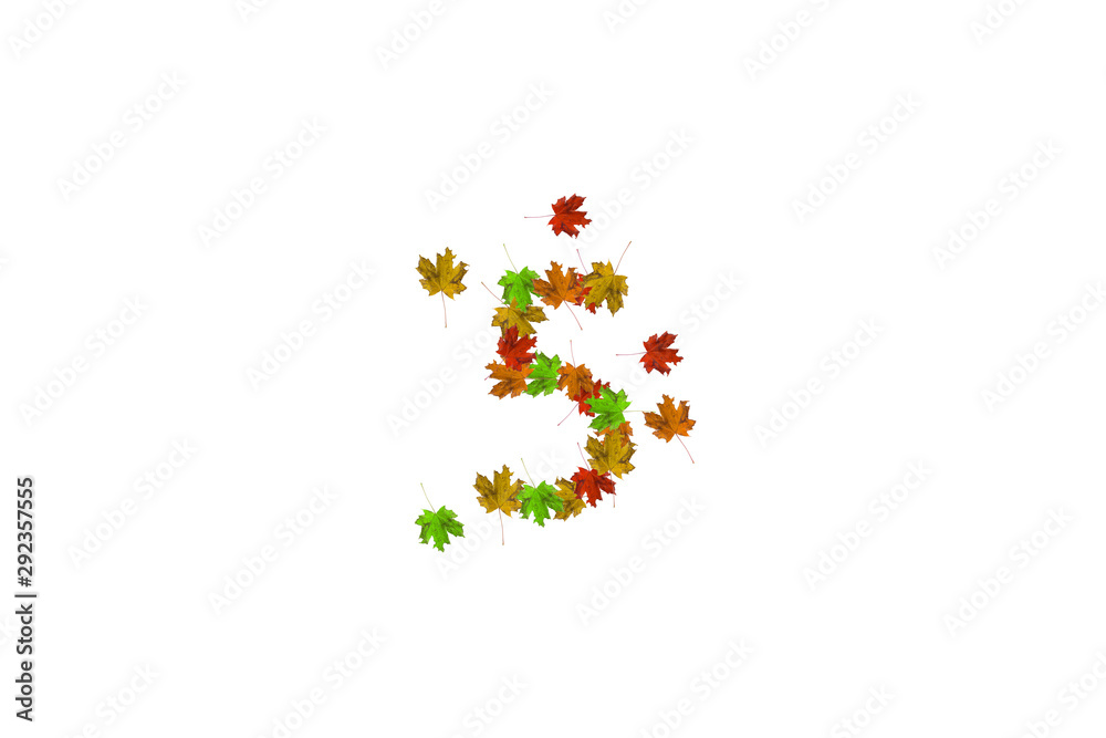 Number five made with autumn leaves isolated on white. Fall concept. Organic digits from 0 to 9