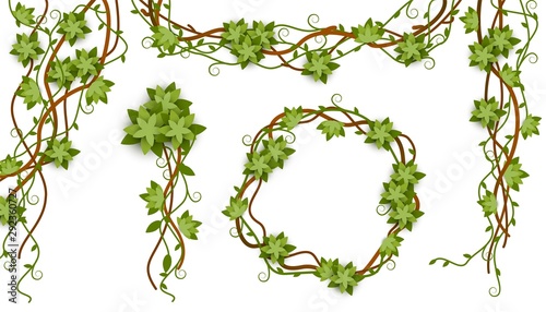 Jungle vine isolated frame set with tropical plant liana branches, green leaves and flowers