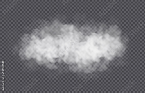 Fog or smoke cloud isolated on transparent background. Realistic smog, haze, mist or cloudiness effect. Realistic vector illustration.