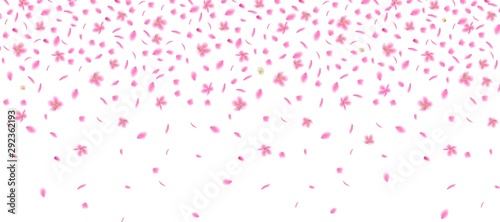 Cherry blossom flower banner template - realistic pink sakura petals falling from above.