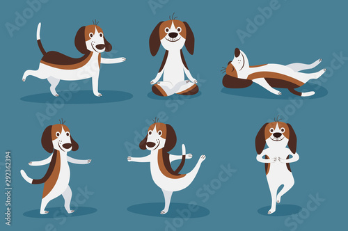 Beagle dog laying and playing set of flat cartoon vector illustrations isolated.