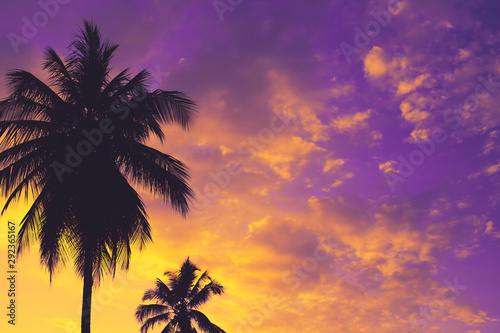 Silhouettes of coconut palm trees against colorful sunset sky on tropical island. Vacation and exotic travel concept background.