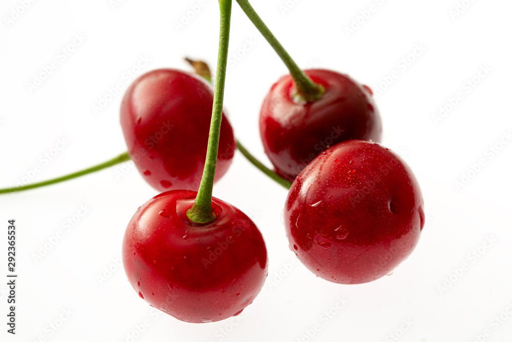Cherry isolated on white background. Cherry with leaves in closeup Cherry isolated on white background. Cherry with leaves in closeup