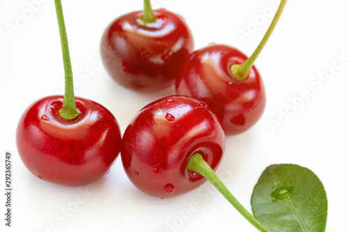 Fresh sweet cherry. Cherry with leaves in closeup photo