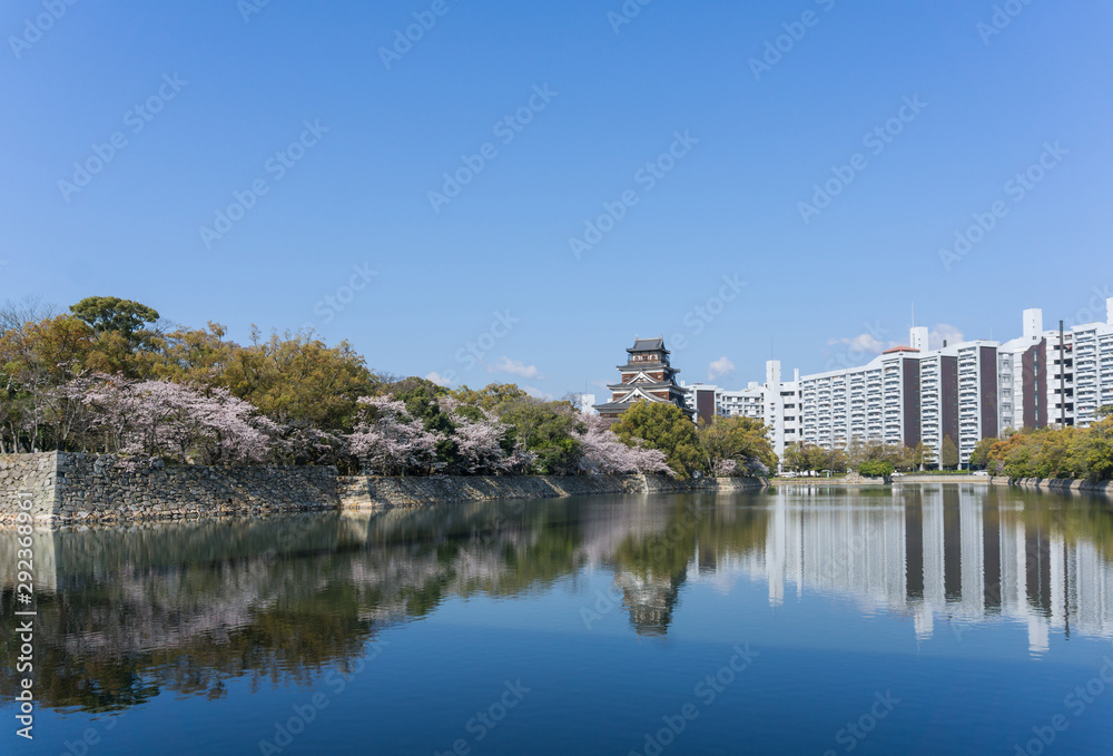 Fototapeta premium Hiroshima castle with sakura flower blooming