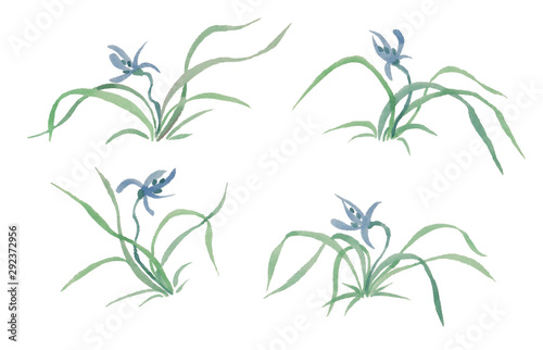 Wallpaper Mural wild orchid by ink. set of wild orchids in watercolor Torontodigital.ca