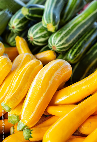 Yellow and Green Striped Zucchini Squash