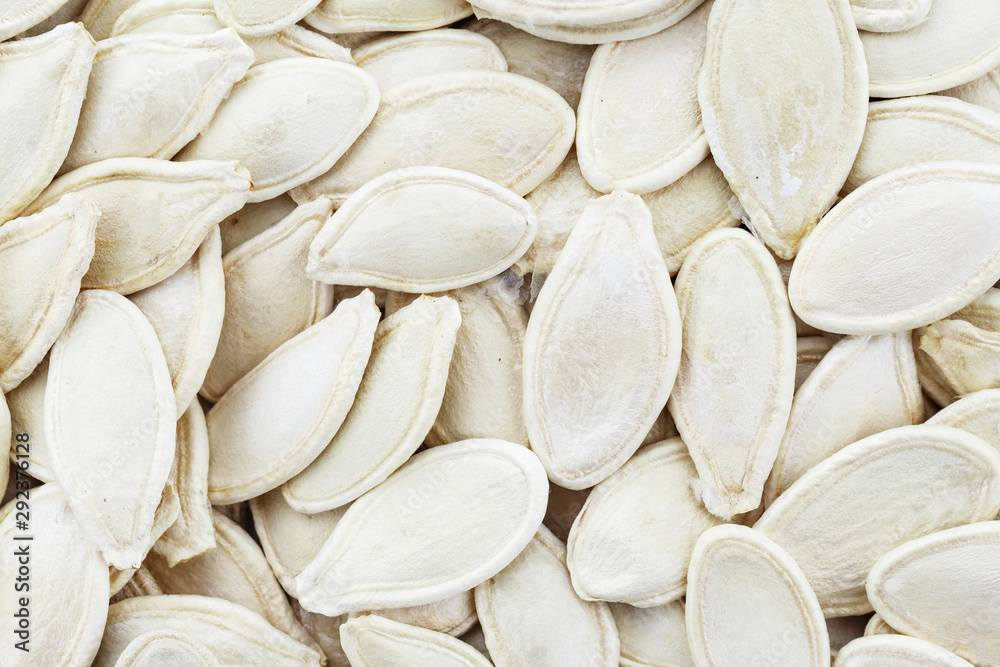 pumpkin seeds as background pumpkin seeds as background