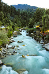 Fototapete Khaki Ruhiger Fluss im dichten Wald  © Vasu