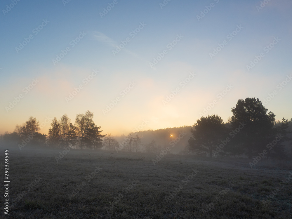 Autumn landscape. Early morning, the grass is covered with hoarfrost. Fog over the field. The Sun is rising. Autumn forest in the background.
