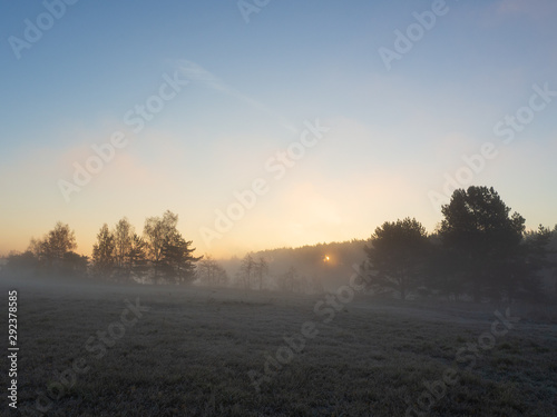 Autumn landscape. Early morning, the grass is covered with hoarfrost. Fog over the field. The Sun is rising. Autumn forest in the background.