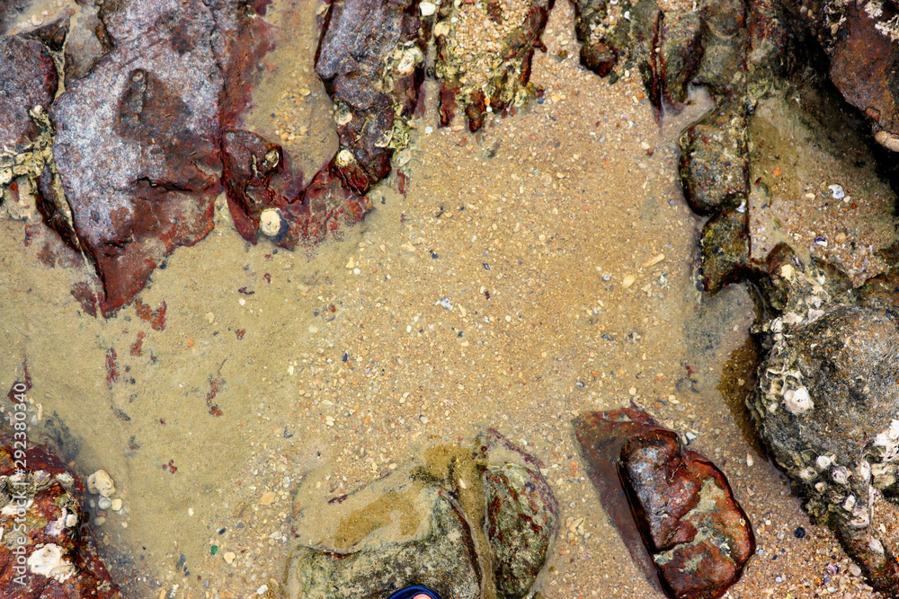 rocks on the beach rocks on the beach
