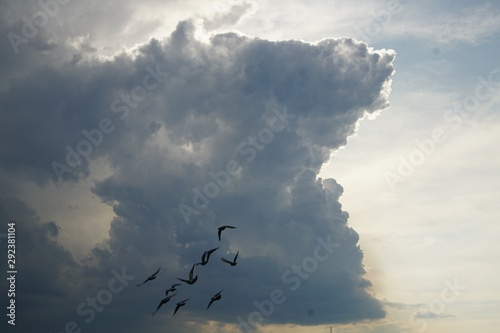 Gewaltige Wolken mit Vogelschwarm