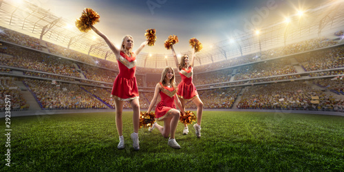 Tableau sur toile Group of cheerleaders in action on the professional stadium