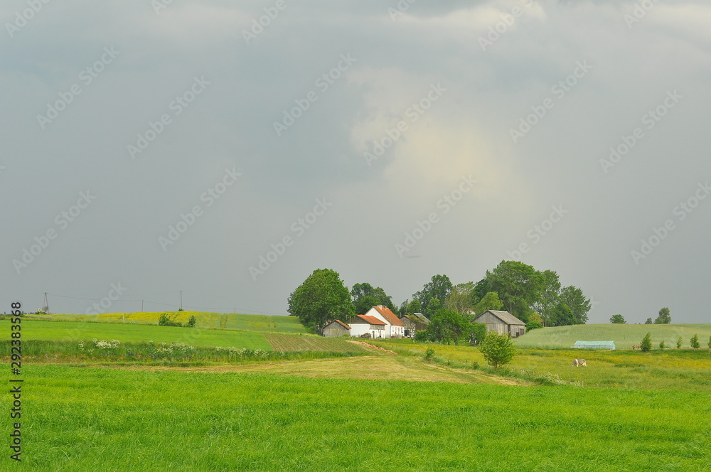 Obraz premium Mazury