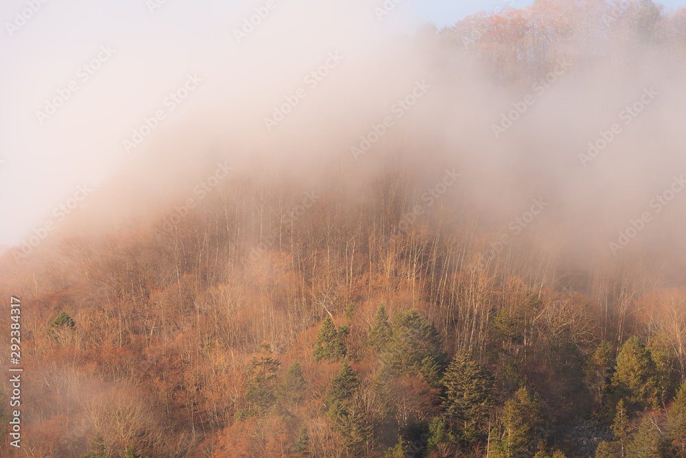 Mountain with low lying cloud and mist in a scenic landscape view. Early in the morning in autumn Japan.