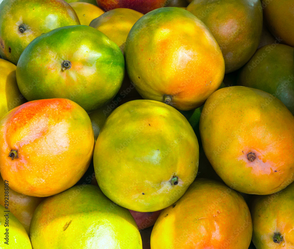 Bunch of ripe colorful red yellow green mangoes at asian farmers market. Summer tropical fruits vitamins travel concept. Creative food poster Bunch of ripe colorful red yellow green mangoes at asian farmers market. Summer tropical fruits vitamins travel concept. Creative food poster
