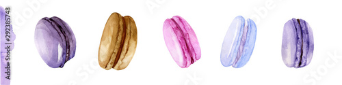 Watercolor macaroon illustration. Vector isolated set of colorful cake macaron. Sweet pastries of pastel colors.