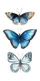 Set of watercolor illustrations depicting blue and grey butterflies isolated on a white background, hand-painted