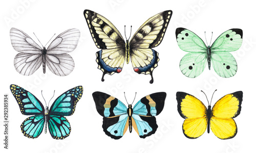 Set of watercolor illustrations depicting bright white, yellow, green and blue butterflies isolated on a white background, hand-painted © Art.Lantana
