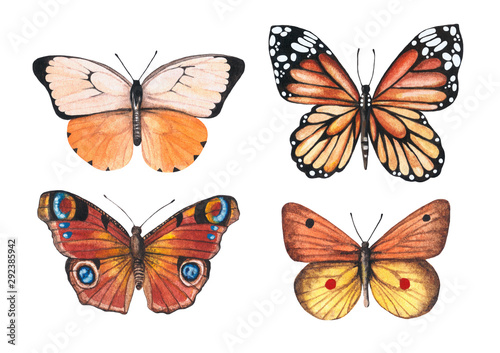 Set of watercolor illustrations depicting bright orange, red, brown butterflies isolated on a white background, hand-painted