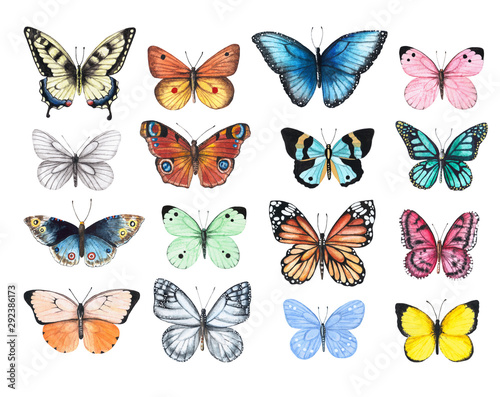 Set of watercolor illustrations depicting bright butterflies isolated on a white background, hand-painted photo