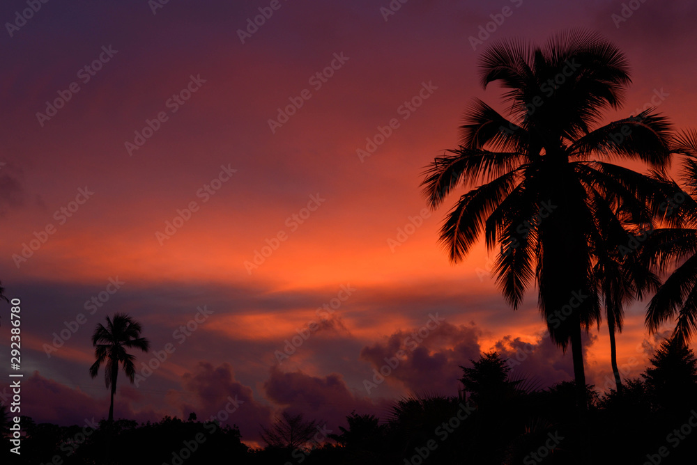 Obraz premium Por do Sol/ Sunset - Diogo