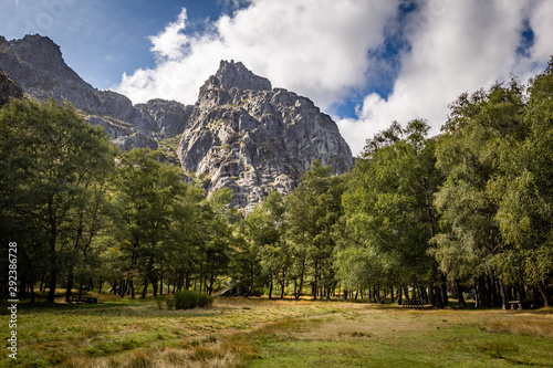 Lovely forest at Covao Ametade, Serra da Estrela. Sparkles of light hitting the trees and Cantaro Magro photo