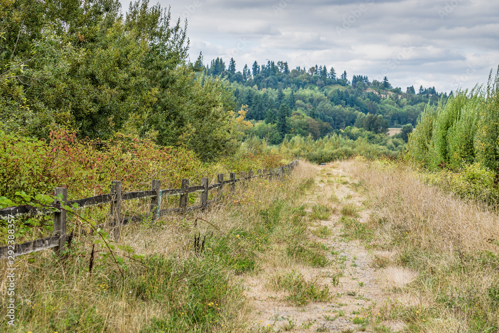 Overgrown Dirst Road