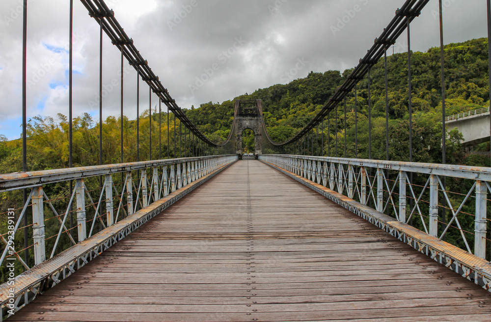 Obraz premium Pont perdue dans la jungle