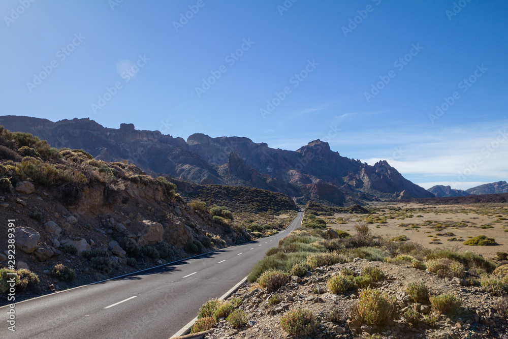 Dans le cratère d'El Teide à Tenerife