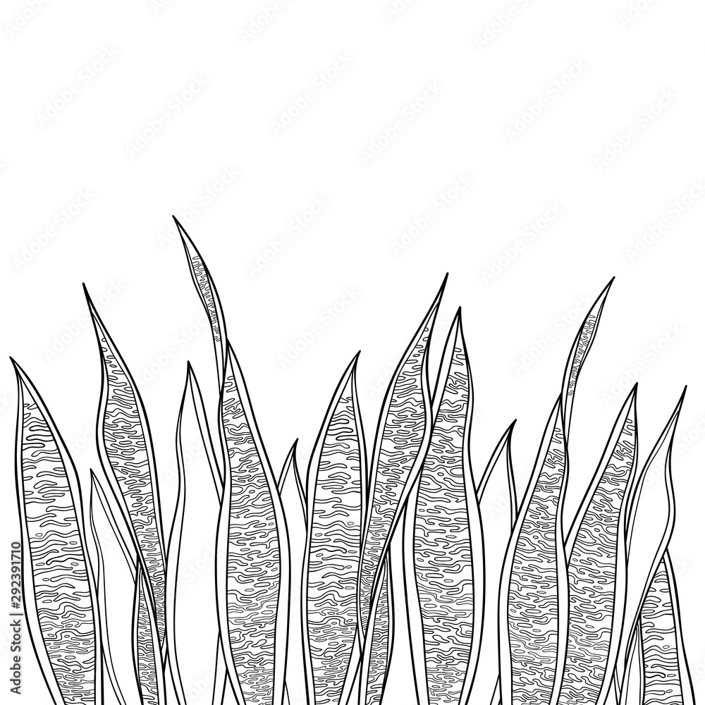One Continuous Line Drawing Of Potted Snake Plant For Home Decor Logo  Identity. Fresh Evergreen Perennial Plant Concept For Plant Icon. Modern  Single Graphic Line Draw Design Vector Illustration Royalty Free SVG,