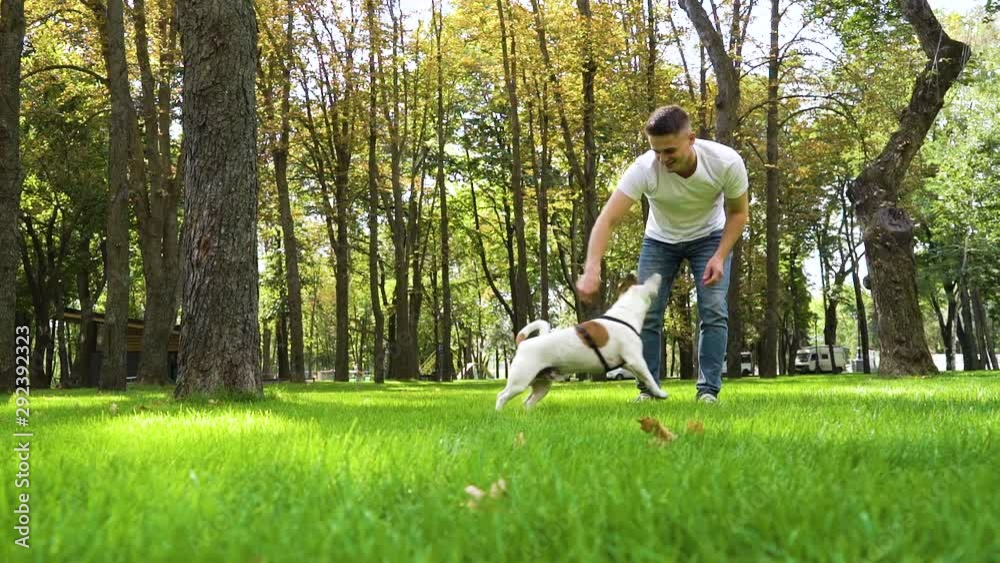 Handsome young man spending leisure with his dog Jack Russell in summer park Handsome young man spending leisure with his dog Jack Russell in summer park