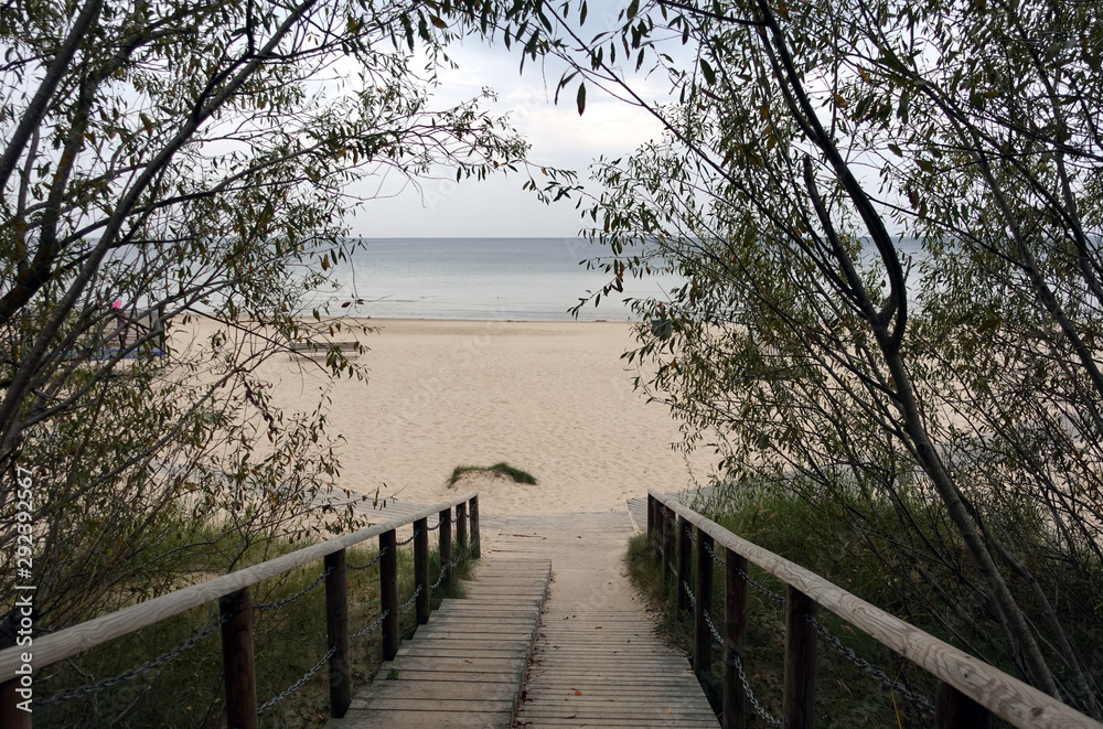 Path to the empty sandy sea beach by wooden stairs going through the trees