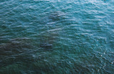 blue sea texture