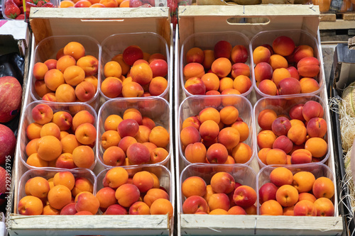Fresh Apricots in Trays