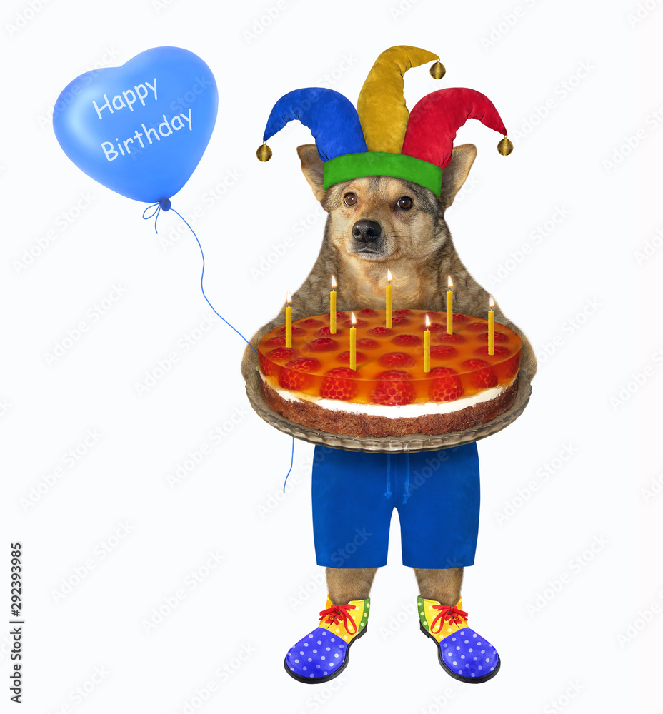 dog fruit hat