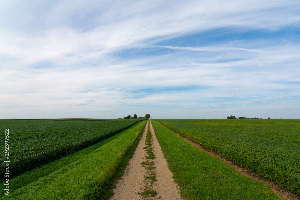 Dirt road in the Midwest