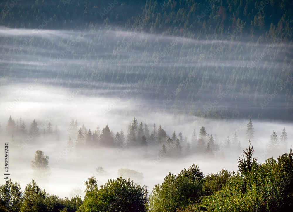 Fototapeta premium autumn time in mountan