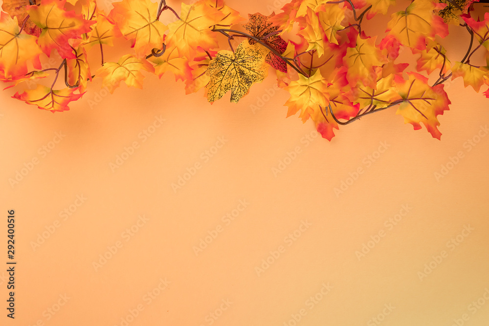 Minimal autumn concept on pastel background made with multi-colored maple leaves. Top view and copy space layout Minimal autumn concept on pastel background made with multi-colored maple leaves. Top view and copy space layout